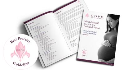 2023 Guideline Perinatal Mental Health Care 2