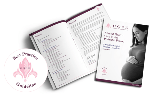 2023 Guideline Perinatal Mental Health Care 2