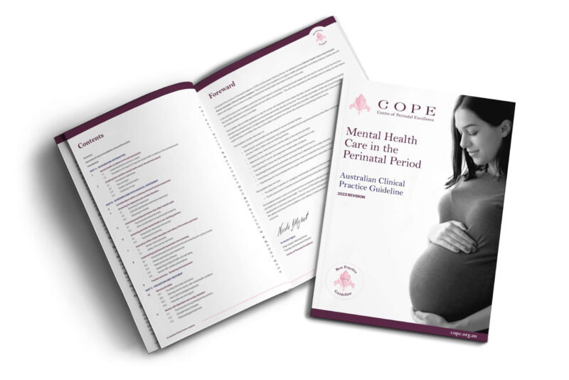 NATIONAL PERINATAL MENTAL HEALTH GUIDELINE 2023 visual data 7