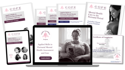 perinatal mental health training​