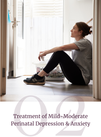 perinatal mental health online training​ module 2