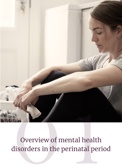 Basic Skills in Perinatal Mental Health Module 1