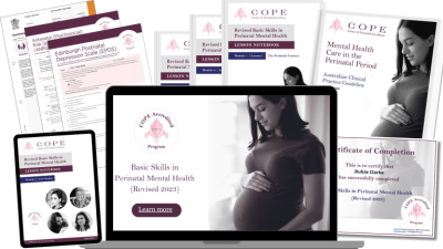 free perinatal mental health training​
