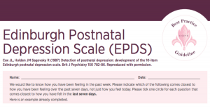 The Edinburgh Postnatal Depression Scale