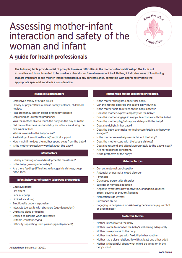 Factsheet for health professionals on assessing mother-infant interactions