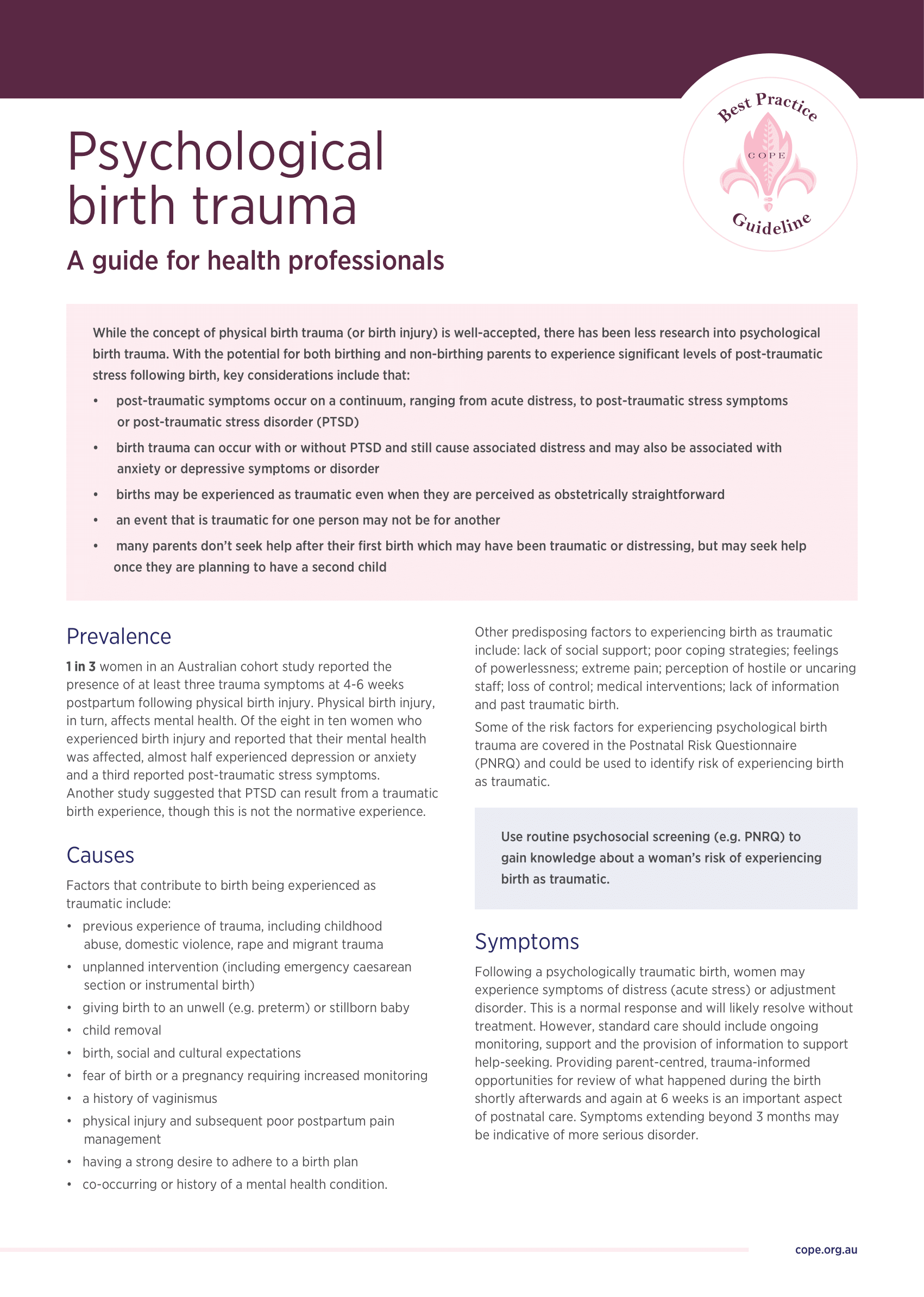 Health Professional Fact Sheet - Psychological birth trauma