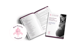 2023 Guideline Perinatal Mental Health Care