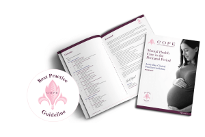 2023 Perinatal Mental Health Guideline