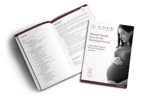 2023 Perinatal Mental Health National Guideline