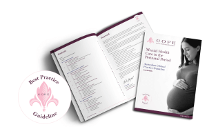 Perinatal Mental Health Guideline