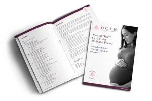 2023 Perinatal Mental Health National Guideline